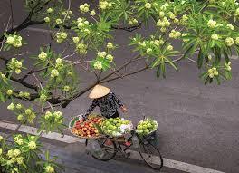 Chạm vào mùa thu 